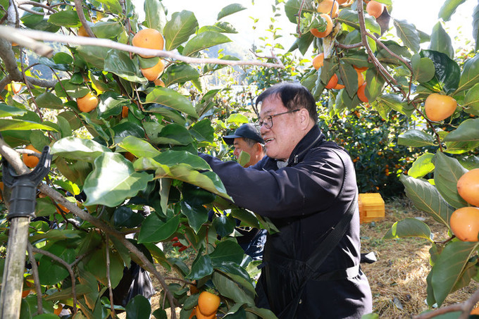 산청군, 농촌 일손 돕기 ‘구슬땀’