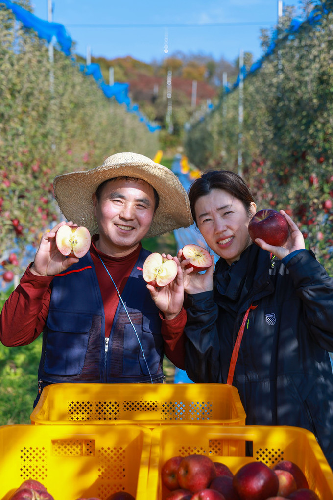 [포토뉴스] “속이 빨갛네!”…산청군...