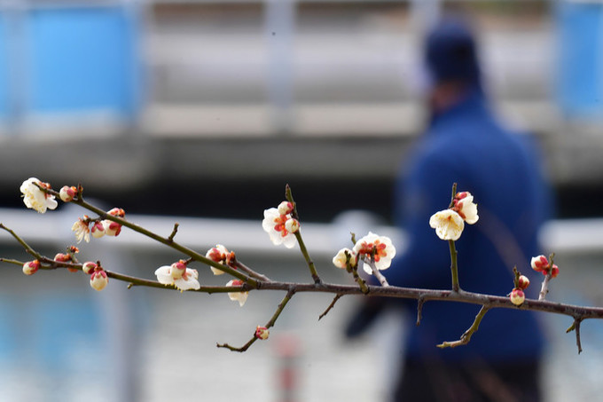 [내일 날씨] '오락가락' 하루 만에 다시 강추위… 아침 최저 '영하 12도'