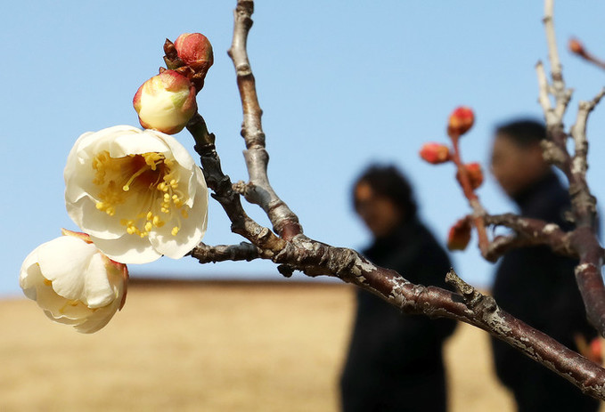 [오늘 날씨] 절기상 '우수' 아침 쌀쌀…낮 최고 13도 포근