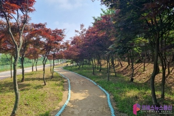 경기도, 올해 427억 투입해 도시숲 37만5천㎡ 조성