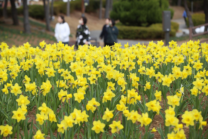 [내일 날씨] 미세먼지 가득한 하늘… 아침 '영하4도' 큰 일교차