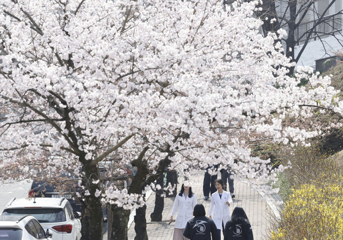[내일 날씨] 한낮 최고 23도, 따뜻한 봄… '탁한 공기' 미세먼지 나쁨