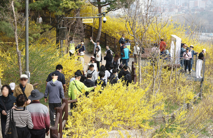 [내일 날씨] 전국 미세먼지 속 봄비 내려… 낮 최고 21도 큰 일교차