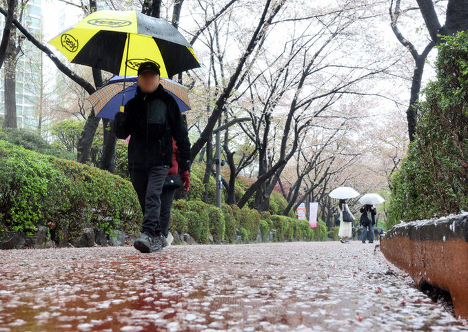 [내일 날씨] 전국 봄비, 오후에 그친다… 강풍 동반한 '꽃샘추위'
