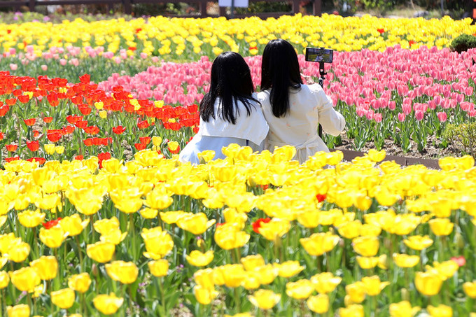 [오늘 날씨] 낮 최고 26도 '포근'…큰 일교차 주의