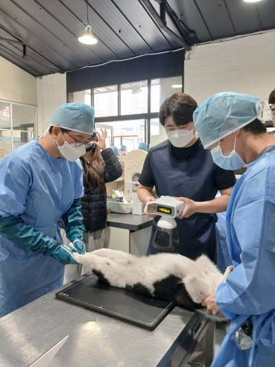 경기도, 상반기 민간시설 보호동물 717마리에 ‘찾아가는 진료 지원’ 완료